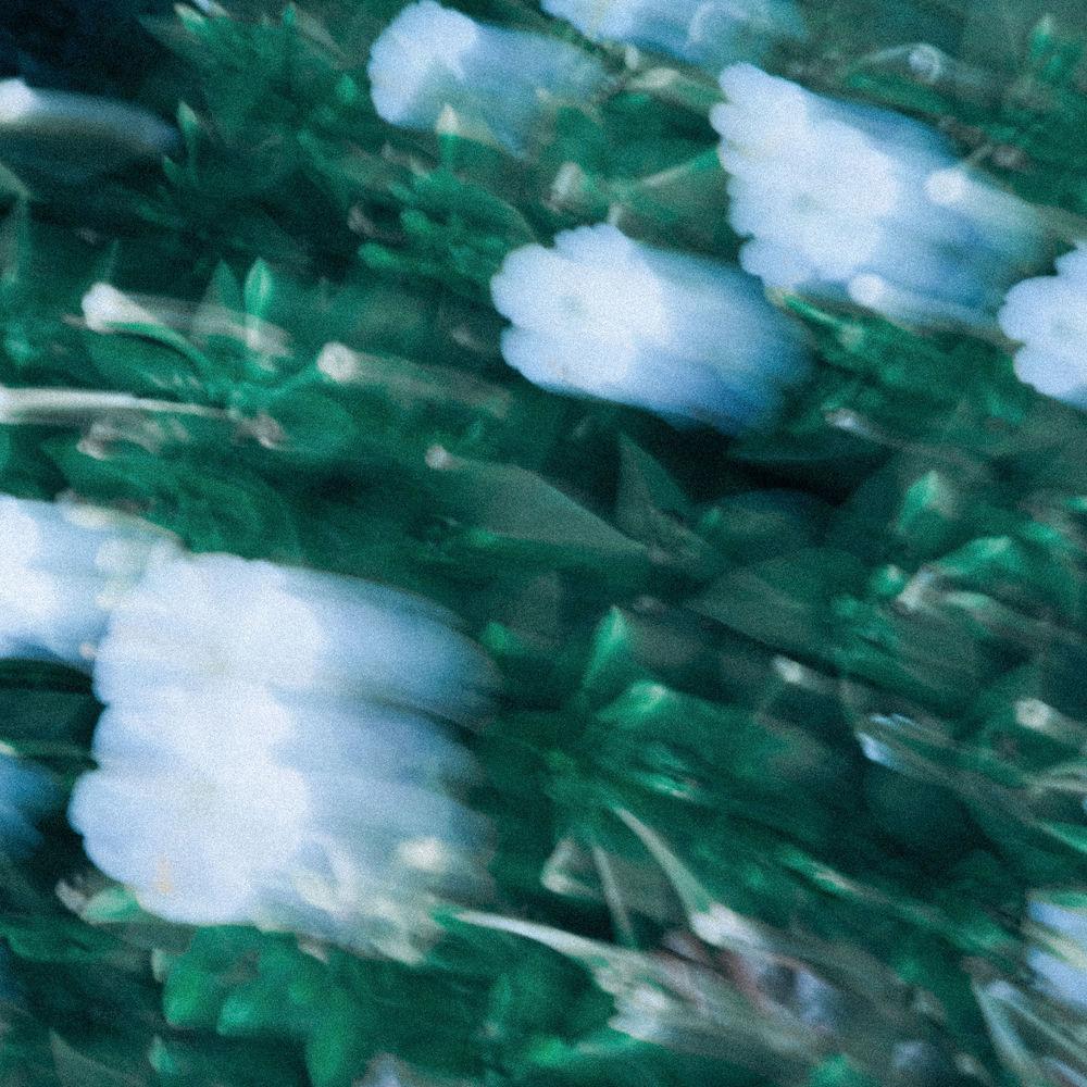 YOUTH - SPRING.mp3