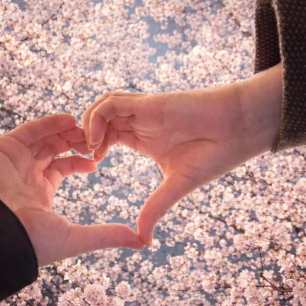STEN - 봄이 된 이유 (Why Its Spring) (Feat. SE O).mp3