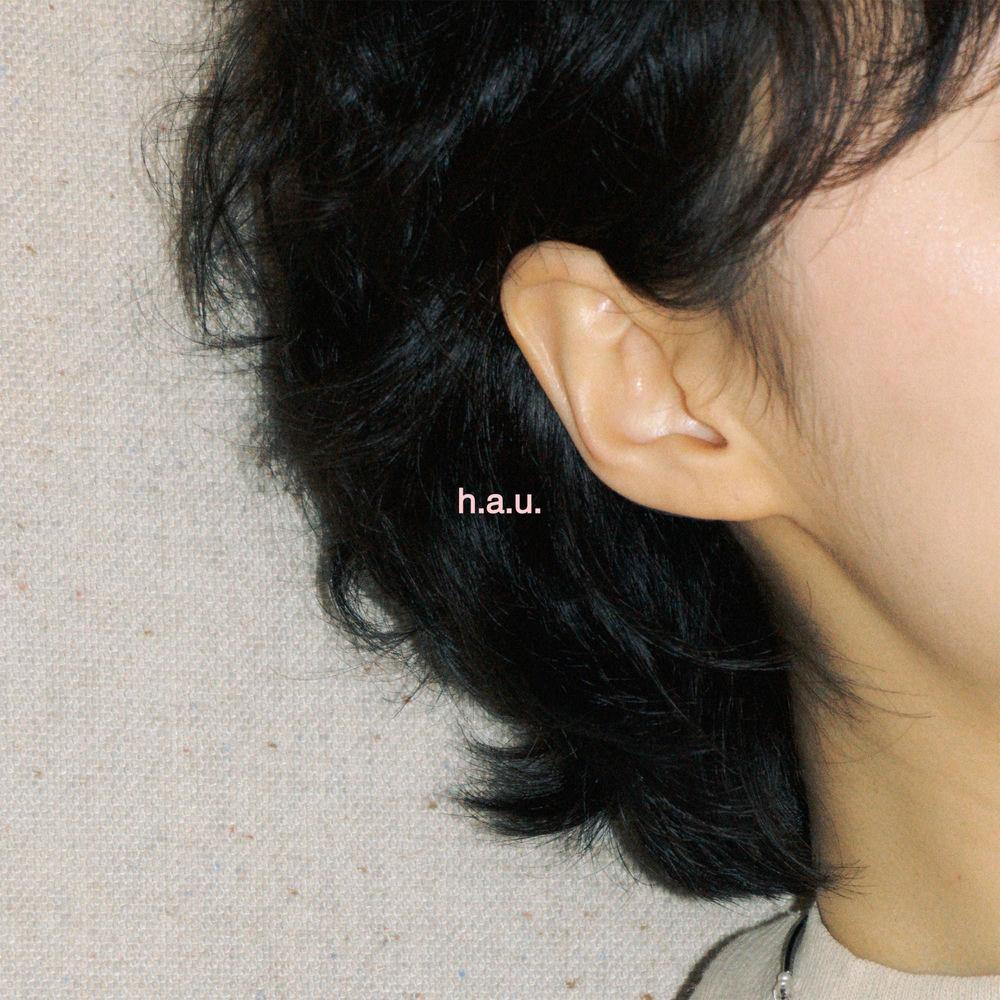 Darin - h.a.u..mp3