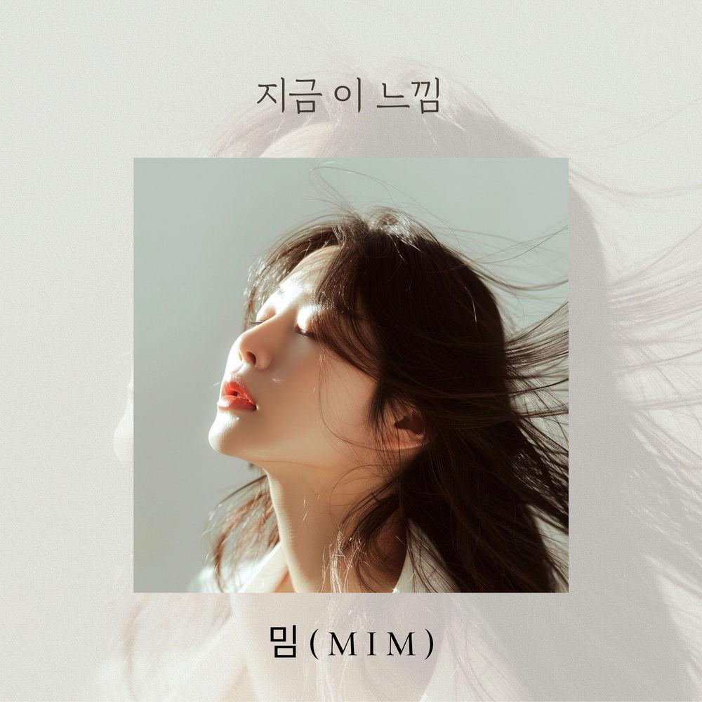 mim - 지금 이 느낌 (This feeling right now).mp3