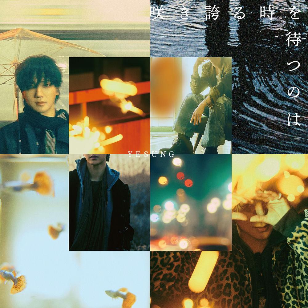 Cover album 咲き誇る時を待つのは／Sakihokoru Toki o Matsu no wa dari YESUNG di Matikiri