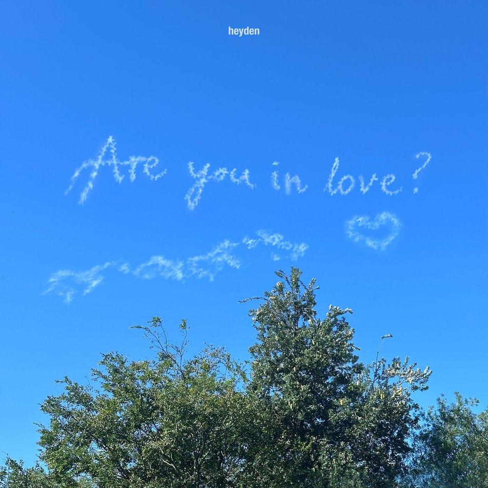 Cover album Are you in love? dari heyden & oddfish di Matikiri